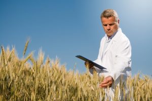 Диплом агронома