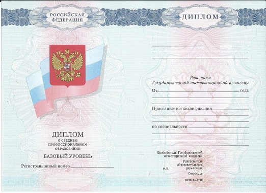 Диплом воспитателя 2007-2010 года